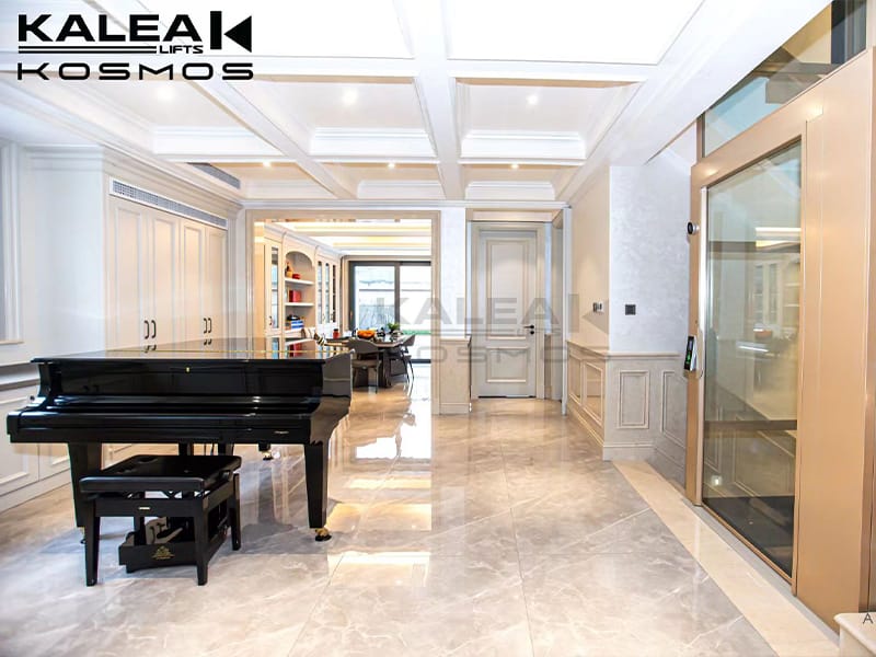 home lift elevator kalea copy45