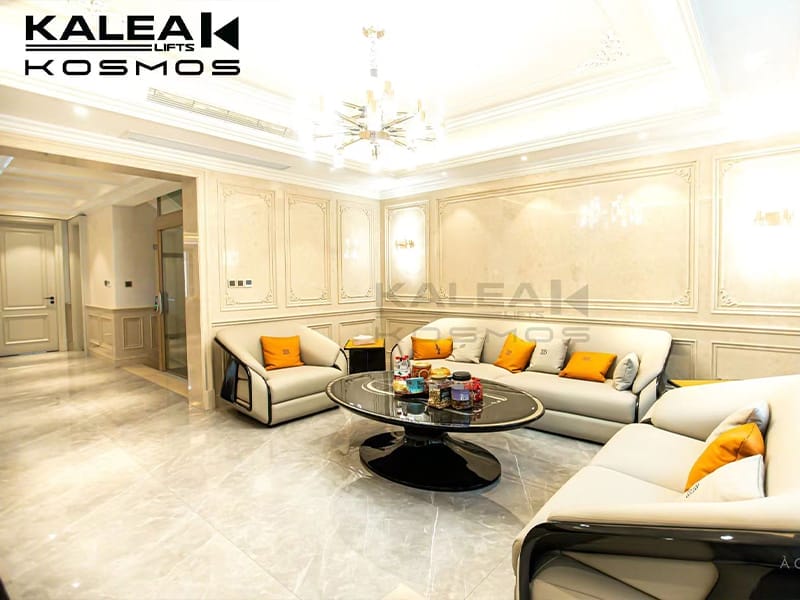 home lift elevator kalea copy46