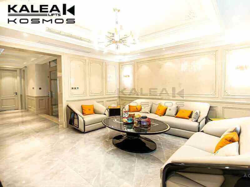 home lift elevator kalea copy46