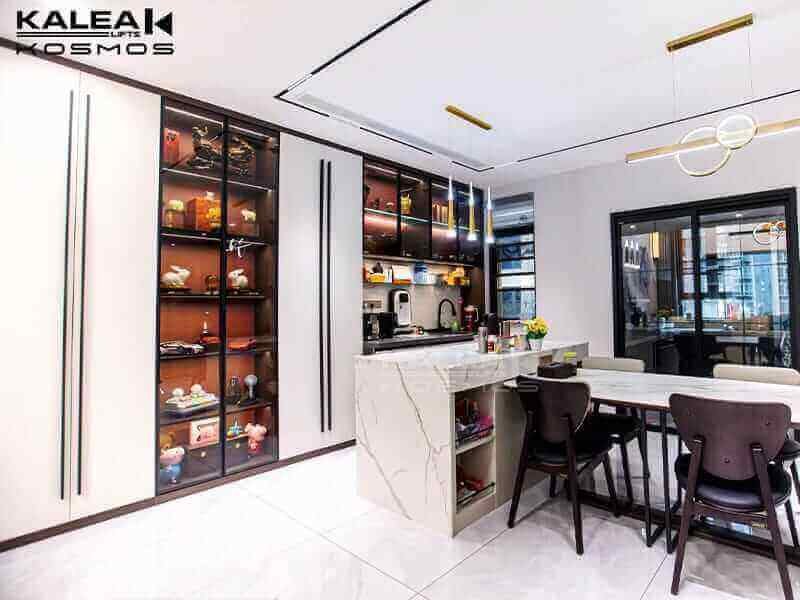 home lift elevator kalea copy68