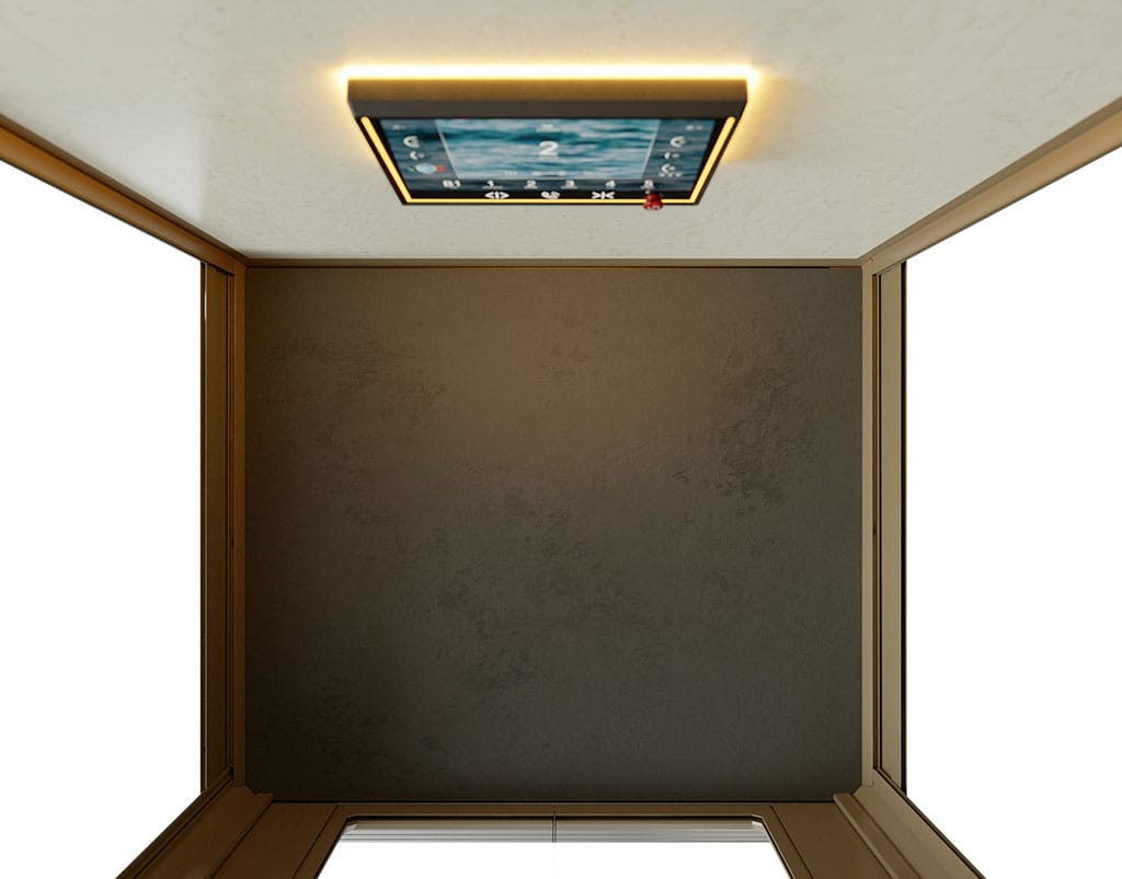 z90 carpets 2