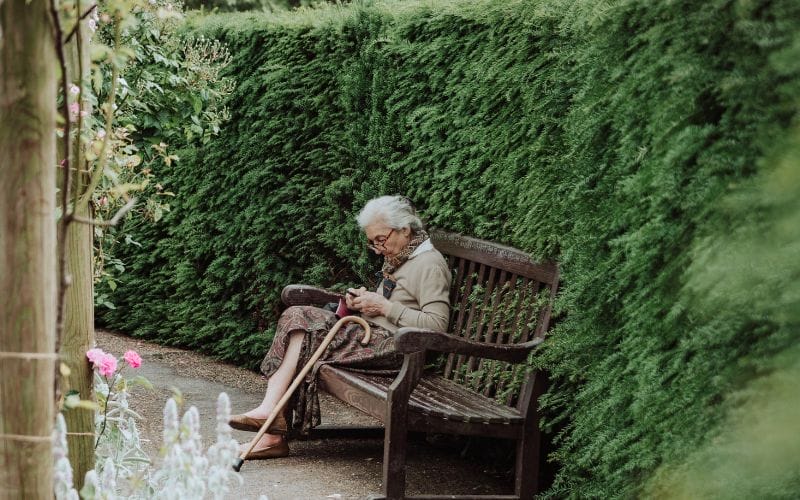 elder sitting park