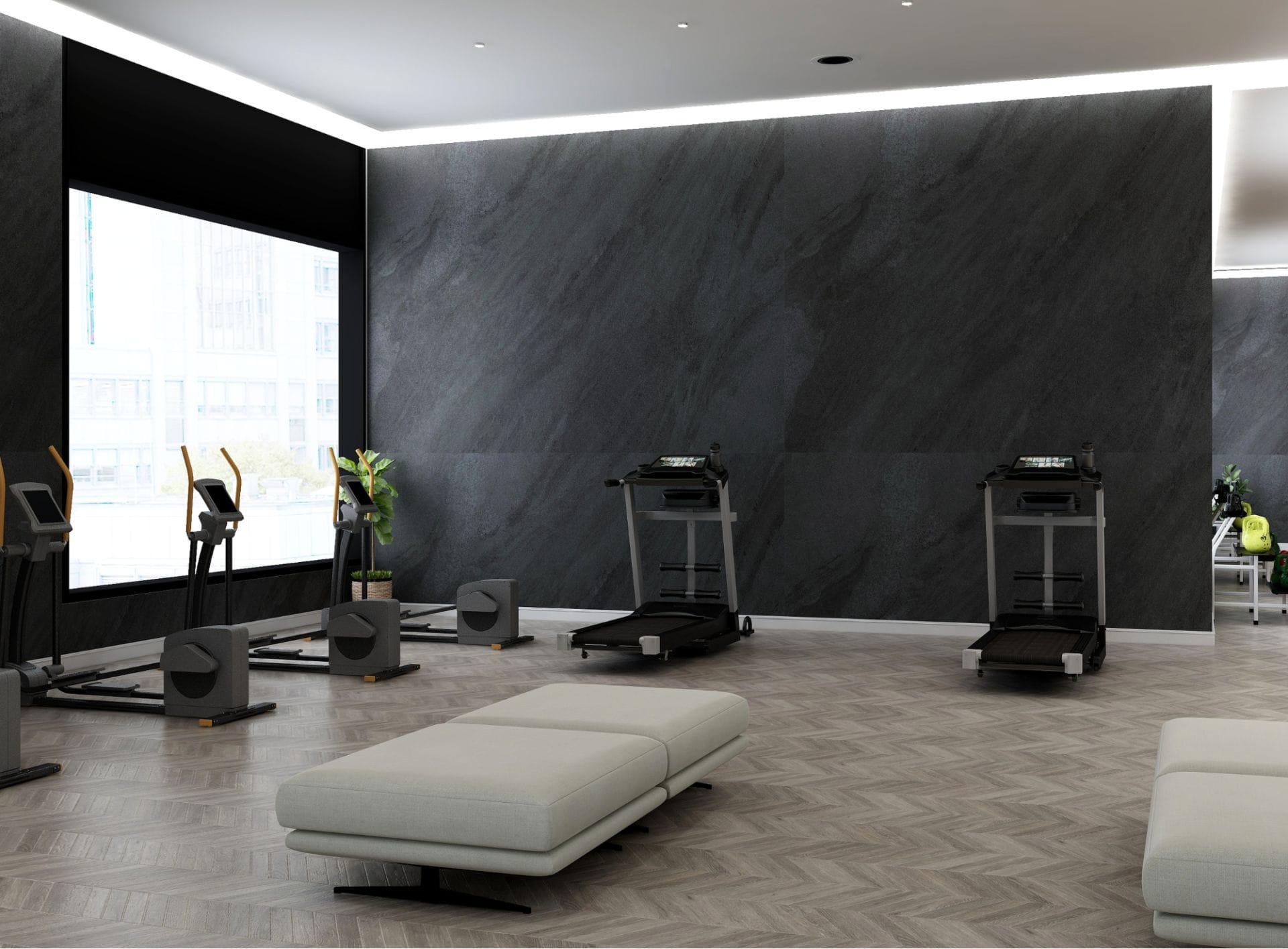 Luxury Gym