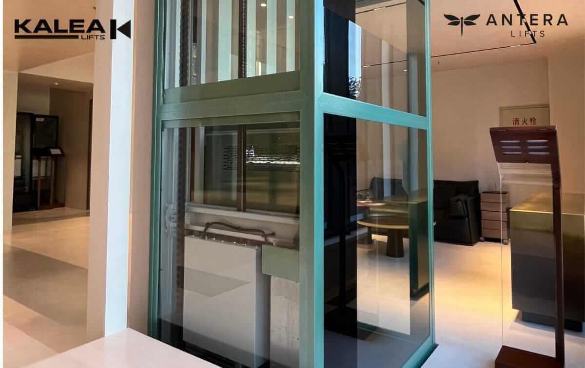 Kalea Lift - Screw driven Home lift is easily installed, unaffected home structure and very safe certified by EN 81-41