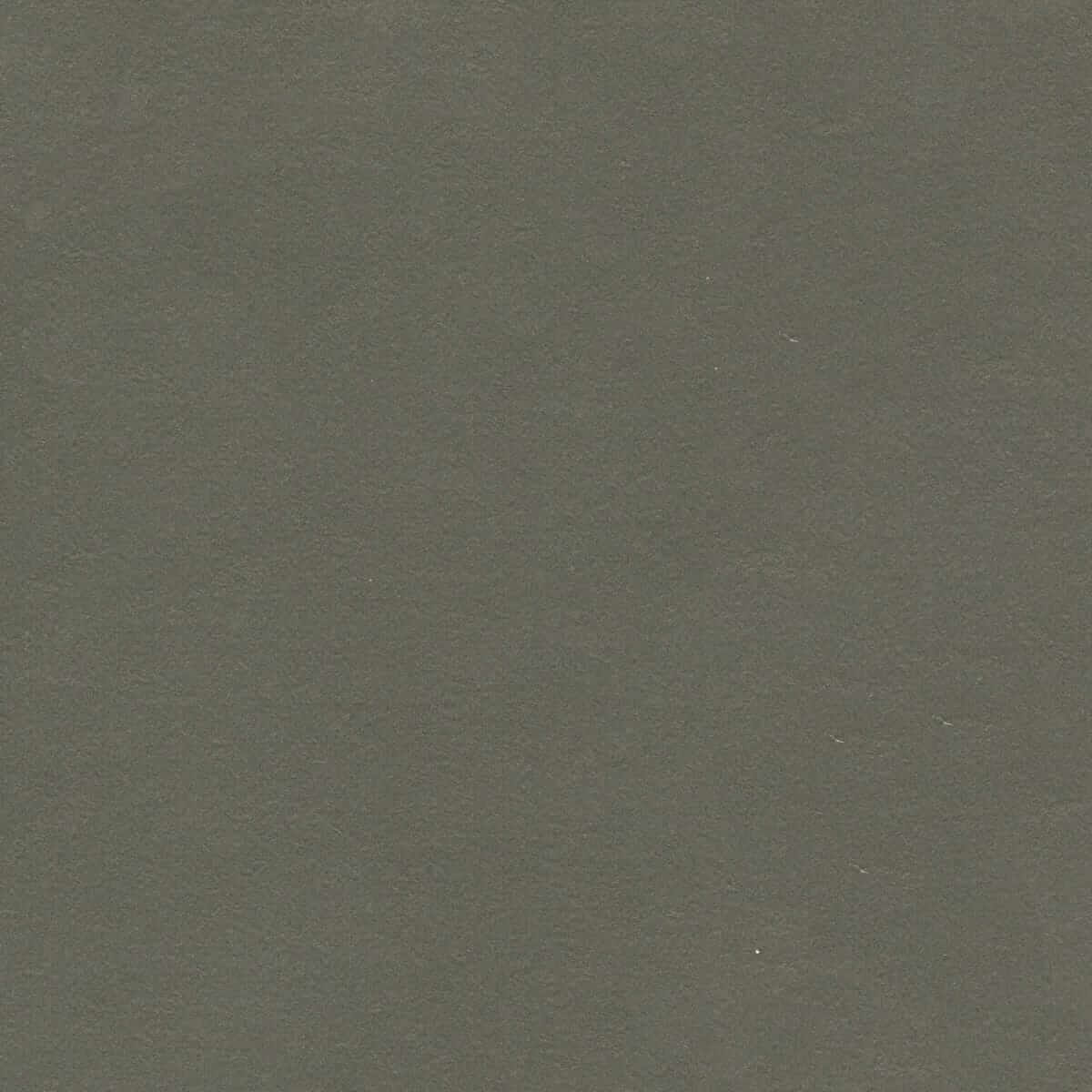 New Flooring ANTERA 3376 Peat