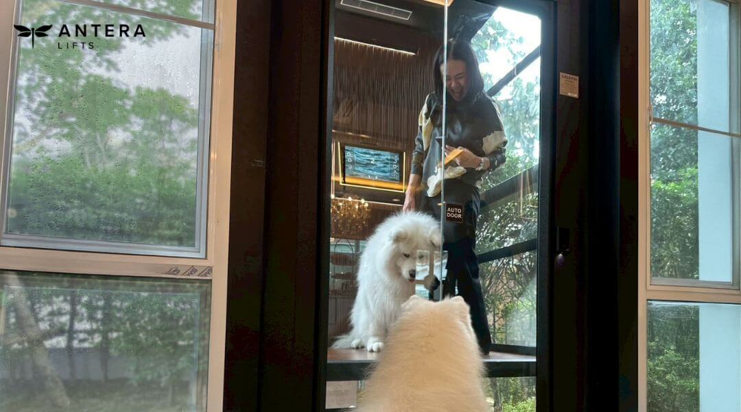 ปล่องกระจกนิรภัยใสแบบพาราโนมิค เปิดมุมมองใหม่ให้การขึ้นลิฟท์